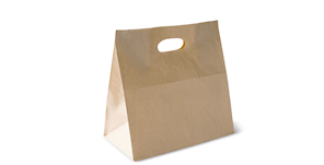 Die Cut Handle Paper Carry Bag
